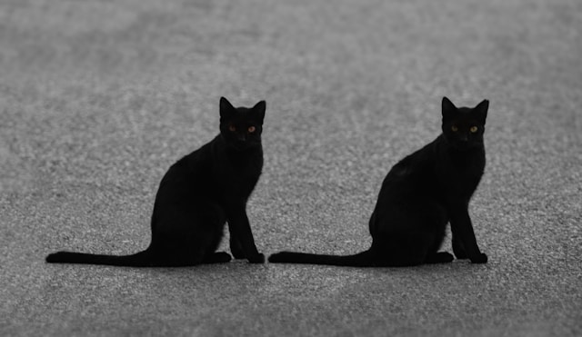 5-ways-to-tell-if-you-have-reincarnated